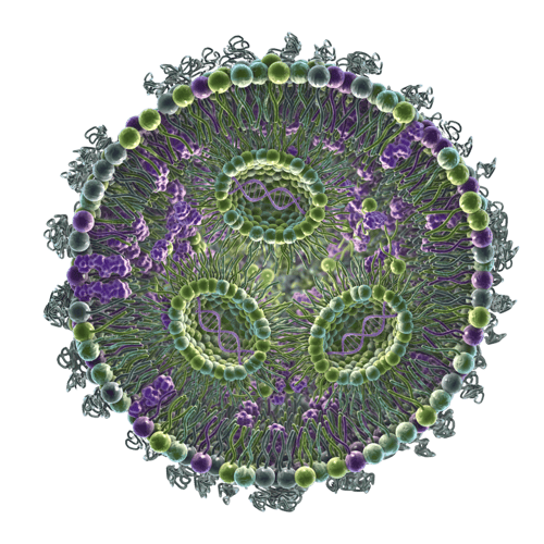 Lipid-Nanopeptide_0